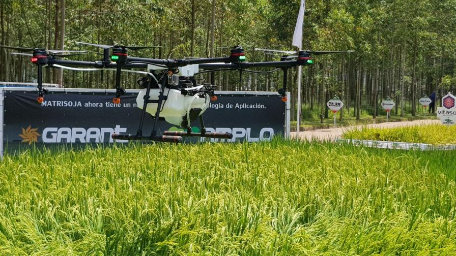 Paraguay: A Country with Many Opportunities in Precision Agriculture