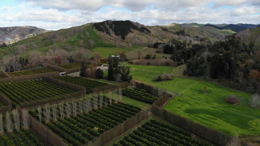 3 Major Challenges Facing Digital Agriculture in New Zealand